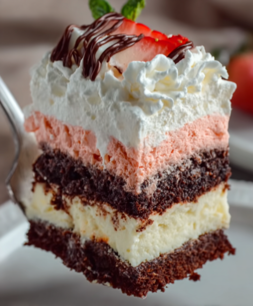 Neapolitan Layer Dessert Cake
