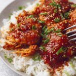Crockpot Honey Garlic Chicken Thighs